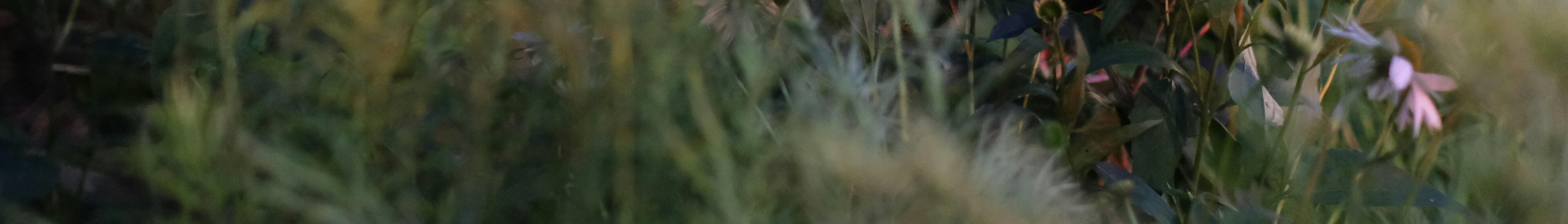Clinical Chinese herbalist sits in her clinic tending to patients